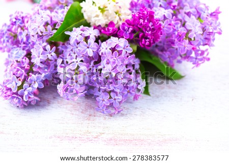 Lilac Spring flowers border over white wooden background. Bunch of violet and purple lilac flower with green leaves close up