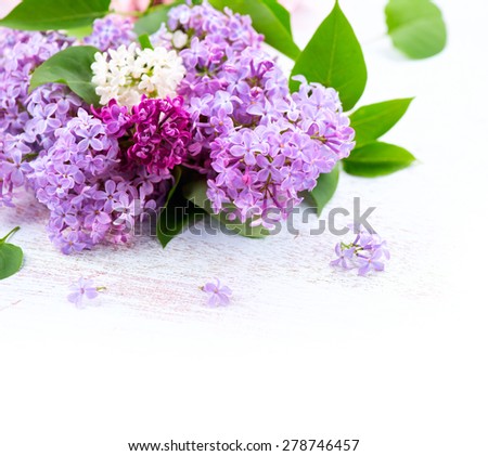 Lilac flowers bunch over white wooden background. Beautiful violet Lilac flower border design closeup. Copy space for your text