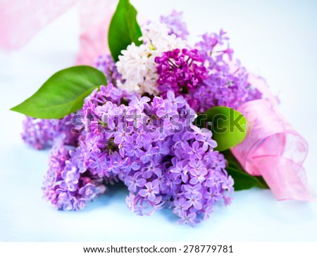 Lilac flowers bunch over blue wooden background. Beautiful Lilac spring flower design closeup. Copy space for your text