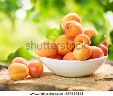 Apricot. Ripe Organic Apricots with leaves on a white wooden table over green nature blurred background. Orchard
