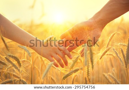 Couple taking hands and walking on golden wheat field over beautiful sunset.
