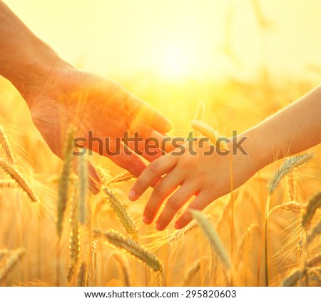 Father and daughter taking hands and walking on golden wheat field. Family walking together