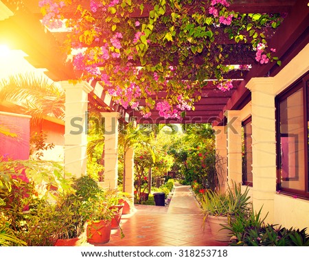 Beautiful vintage landscaped terrace of a house with flowers. Interior of cozy veranda with beautiful plants. Vintage style. Garden. Beauty hotel Courtyard in Mexico over sunset. Vacation