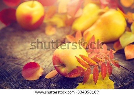 Thanksgiving border background. Autumn Fall background with colorful leaves, apples and pears, Beautiful vintage styled autumn fruits and colorful leaves over wooden table