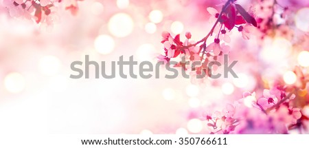 Spring border or background art with pink blossom. Beautiful nature scene with blooming tree and sun flare. Sunny day. Spring flowers. Beautiful Orchard. Abstract blurred background. Springtime