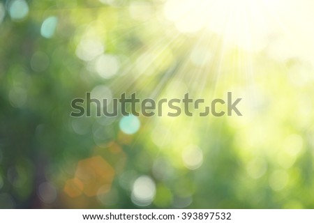 Beautiful Nature Blurred Background. Green Bokeh. Summer or spring backdrop with fresh green leaves and sun flares