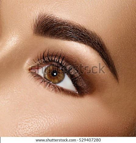 Beauty Brunette Woman Eye with Perfect Makeup. Beautiful Professional Make-up. Perfect eyebrows, eyes and eyelashes. Skin care, foundation, contouring. Beauty Girl\'s Face make up.