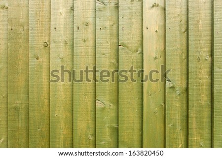 Green wood paneling