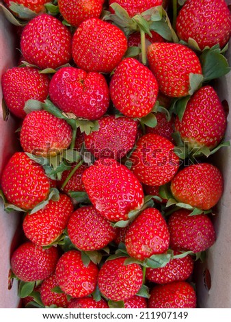 Fresh ripe perfect Juicy strawberry  full frame - Food Frame Background