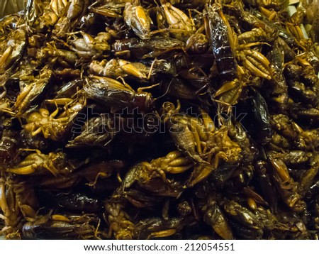 Crispy fried insects  are regional delicacies in many Asian countries like Thailand