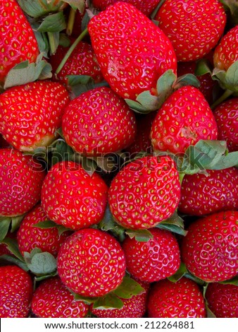 Large fresh ripe strawberries, juicy, perfect full frame - Food Frame Background.