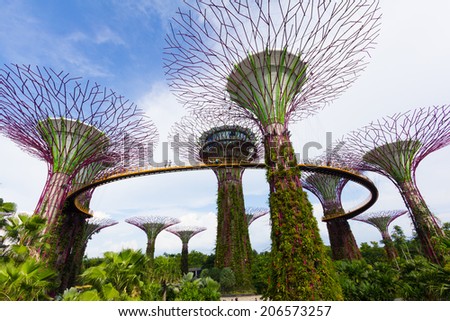 SINGAPORE - JULY 19: Dayview of The Supertree Grove at Gardens by the Bay on July 19, 2014 in Singapore. Spanning 101 hectares, and five-minute walk from Bayfront MRT Station.