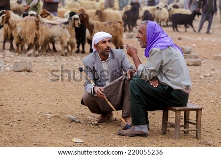 URFA,TURKEY - 15/10/2011 :The Festival of Sacrifice (Kurban Bayrami) approaches in Islamic Wold.Animal dealers (vendors) and buyers of sacrificial  meet in traditional cattle markets in Urfa, Turkey