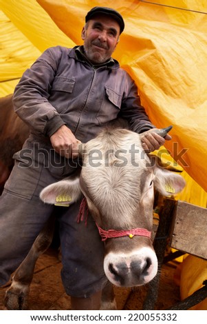 ANKARA,TURKEY - 11/09/2010 :The Festival of Sacrifice (Kurban Bayrami) approaches in Islamic Wold.Animal dealers (vendors) and buyers of sacrificial meet in traditional cattle markets in Ankara,Turkey