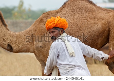 PUSHKAR,INDIA - Circa November 2014 : Unidentified Cameleer sits and stands around their livestock animals and waits for clients to sell them
