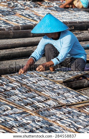 Banyuwangi,East Java,Indonesia - May 24,2015 : Unidentified woman select and classify dried anchovy in a fgishing village called Muncar in Banyuwangi,East Java ,Indonesia