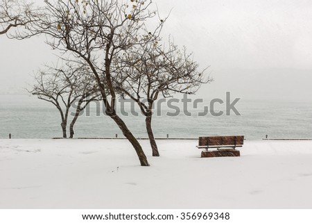 Heavy snow fall in Istanbul. Benches, trees and the old boats covered with snow
