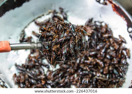 Crispy fried insects are regional delicacies in many Asian countries like Thailand
