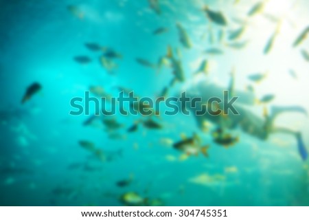 School fish under sea with diver and sunshine.