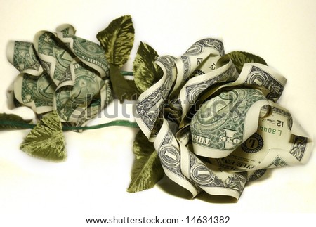 flower money