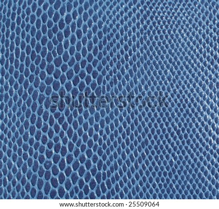 blue snakeskin