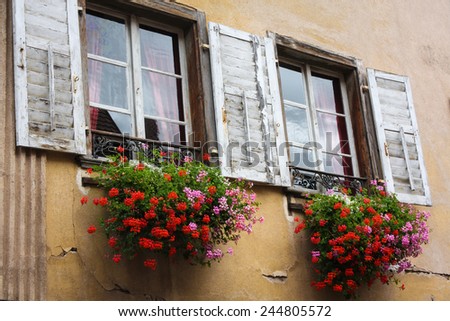 Alsace Window Flower Boxes