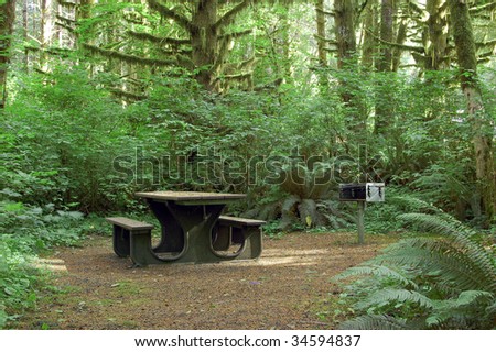 A bench in a woods campsite.