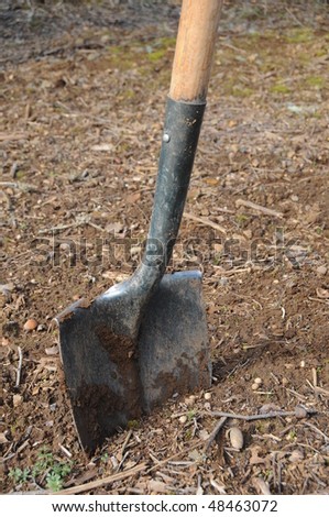 A shovel stuck in dirt. It appears to have been used before. Yard work.