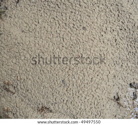 Brown Wet damp moist textured abstract background of muddy sand