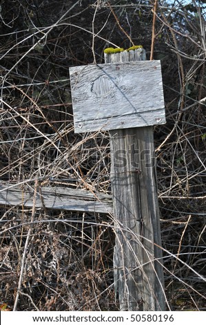 An old rundown antique weathered blank wooden sign post