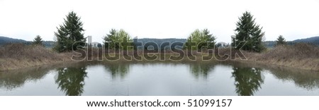 Small pond with two trees and their reflection on the water