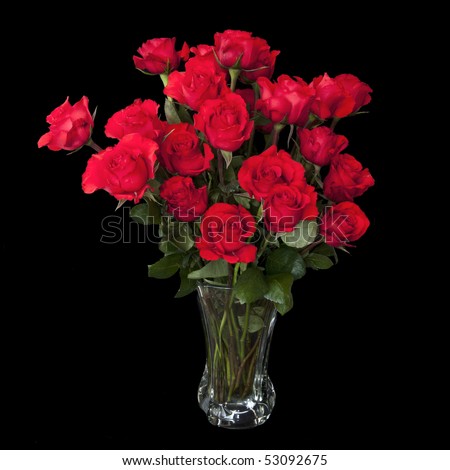 Two dozen red roses isolated on black background with the green stems in a large glass vase with water. Copyspace on all four sides.