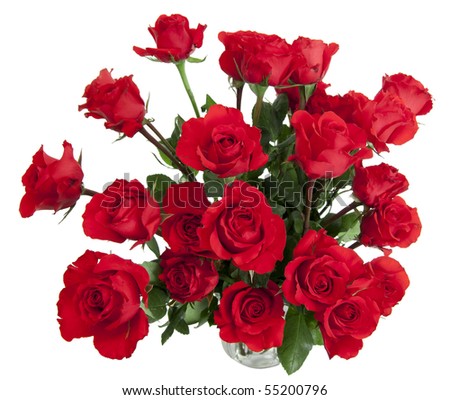Two dozen red roses isolated on white background with the green stems in a large glass vase with water. Copyspace on all four sides.