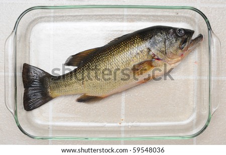 A raw largemouth bass fish inside of a glass dish ready for a meal.