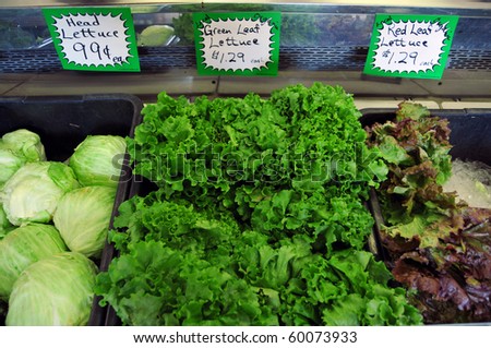 Kinds Of Lettuce