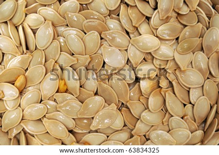 Closeup of a pile of washed and still wet pumpkin seeds, ready to be baked.