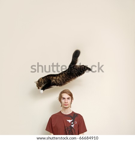A maine coon cat leaps over a young males head. The person is just staring into the camera.