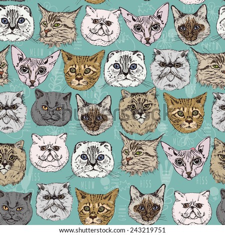 Seamless pattern with cats Siamese, British, Siberian, Persian, Scottish Fold, Maine Coon, Bengal, Sphynx in doodle hipster style. Vintage vector illustration.
