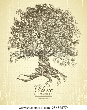 Olive tree with roots on rough background. Arbor day poster in vintage style.
