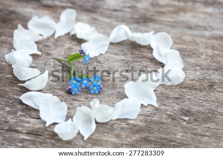 apple-tree petals and forget-me-not. Heart on the wood