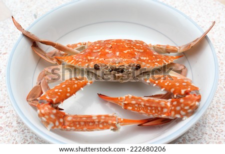 Fresh boiled crab prepared on plate.