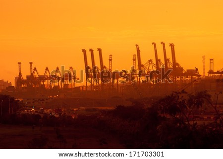 Port cranes in the sunset light