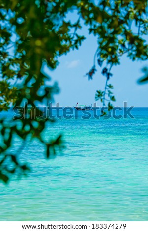 Ship in the sea behind the tree branches curtain
