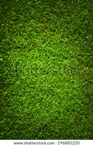 Green short cut grass lawn texture with a highlight