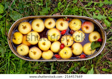 Apple compote in a camp tin, top view