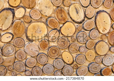 Beautiful wall of wood