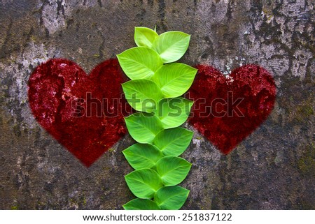 Green nice plant on an old grungy wall, picture of red heart for Valentine`s Day