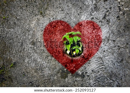 Green nice plant on an old grungy wall, picture of red heart fof