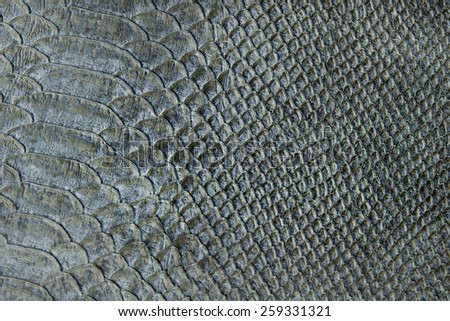 Reptile skin: a crocodile or snake