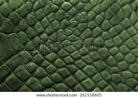 Reptile skin texture - snake or crocodile